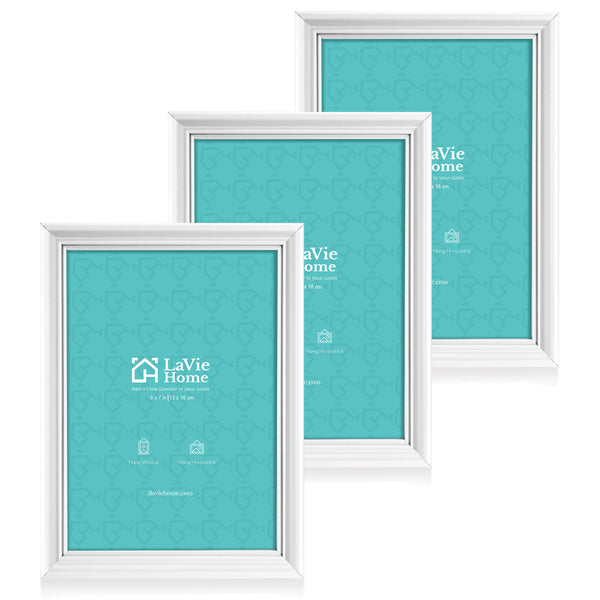 LaVie Home 4x6 Picture Frames (12 Pack, Silver) Simple Designed Photo